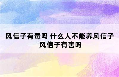 风信子有毒吗 什么人不能养风信子 风信子有害吗